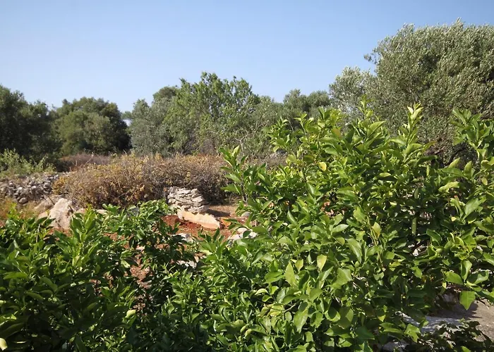 With Parking Space Bozava, Dugi Otok - 8124 *